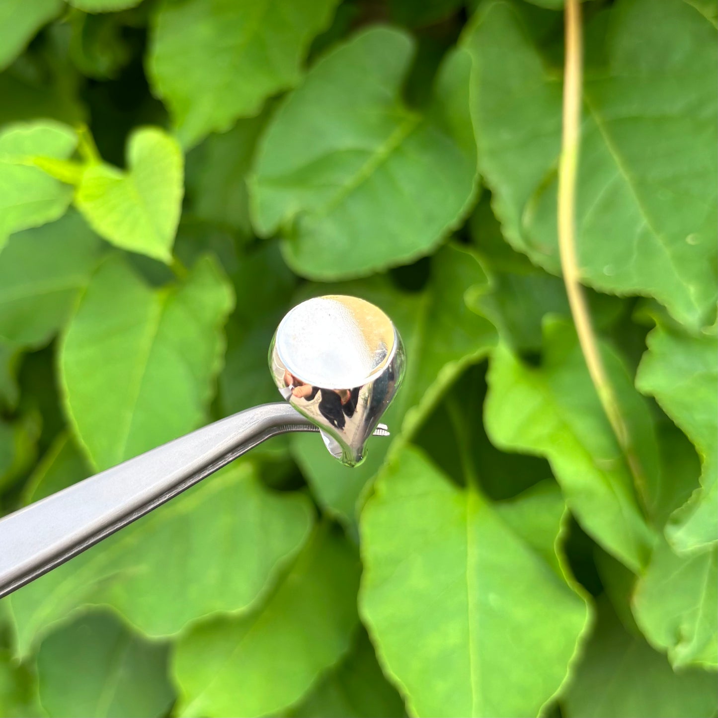RUND SIGNET RING
